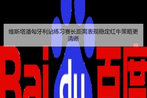维斯塔潘匈牙利站练习赛长距离表现稳定红牛策略更清晰
